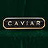 Caviar Logo Verdigris