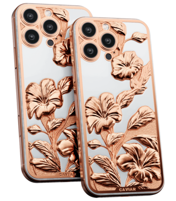 Custom iPhone 17 Pro/Pro Max Bahamas