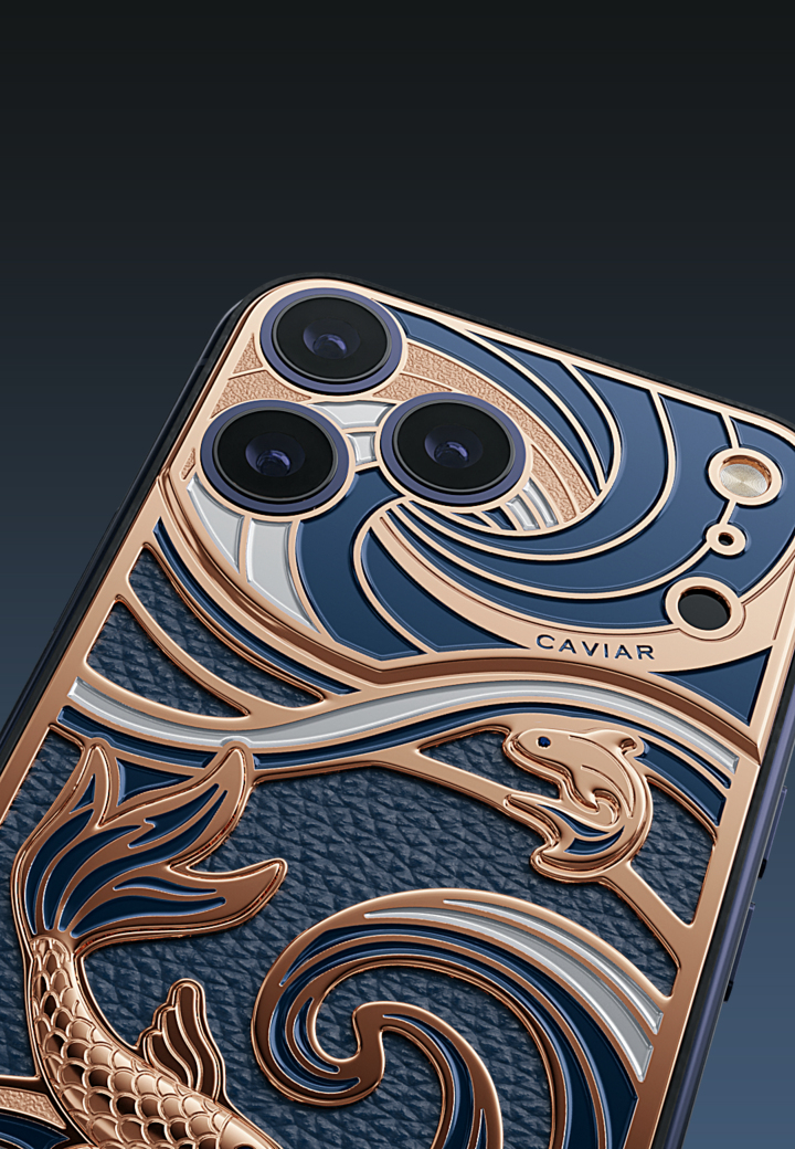 Camera Close-Up Goldfish